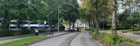 Afbeelding: Van Heuven Goedhartlaan