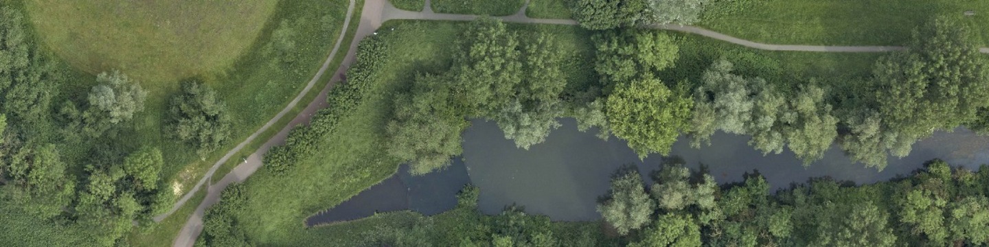 bovenaanzicht van park de koppel met het water waar de steiger ligt