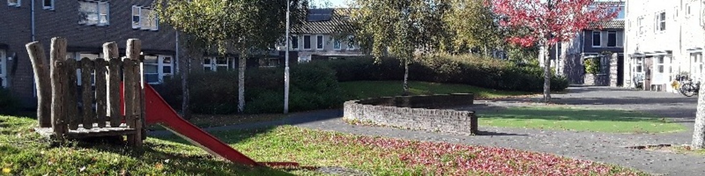 Afbeelding van de speelplek op het plantsoen