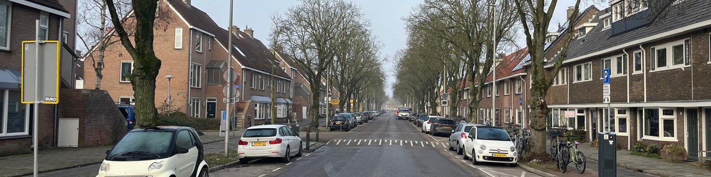 foto van de Rijnlaan vanaf de Balijelaan