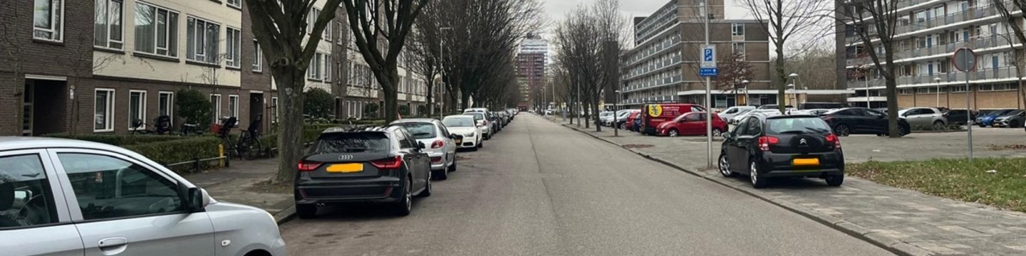 Afbeelding van straat in het projectgebied