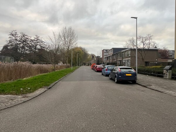 Afbeelding van straat in het projectgebied