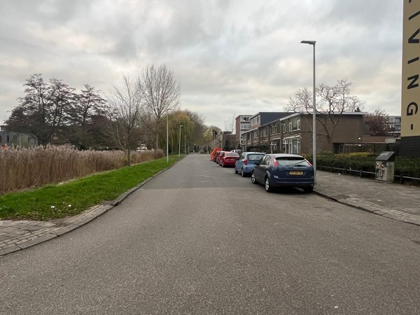 Afbeelding van straat in het projectgebied