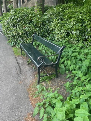 Afbeelding met klassiek bankje in donkergroen