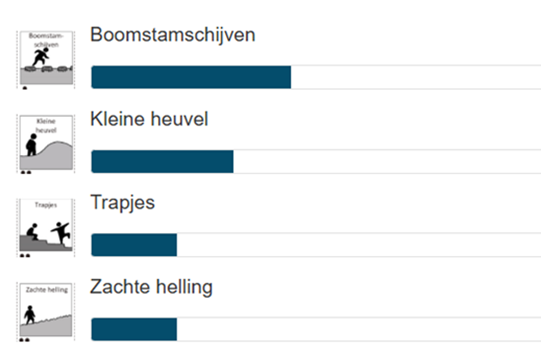 De meest gekozen speelse elementen: Boomstamschijven, kleine heuvel, trapjes, zachte helling