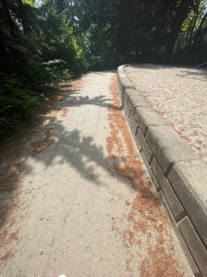 Afbeelding met het muurtje langs de zandbak